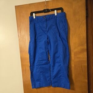 Boden Blue Seamed Cropped Wide Leg Pants 6